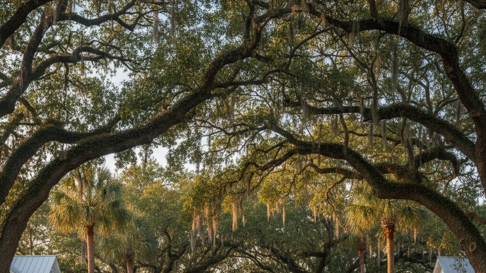 Orange Park, FL — service area for Battle Born Builders